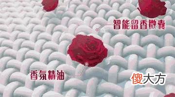 【就爱时尚】仙女自带体香的秘密，洗衣加上它，衣服都被腌入味了！