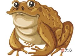 梦见蛇和蛤蟆