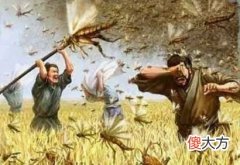 【历史故事】公元前243年，一统六国的秦朝差点被一只虫子灭国，这是为何？