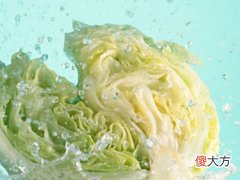 梦到洗白菜