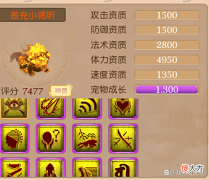 【游戏迷】梦幻西游手游：纯属意外？不经意的一次合宠炸出11技能大海龟