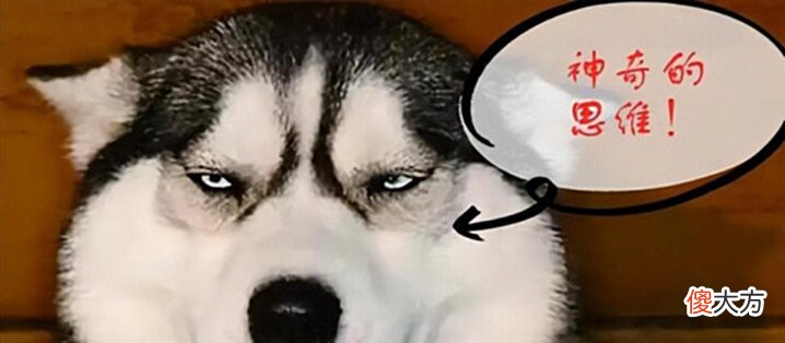【游戏世界】暗黑不朽真好玩,超越原神成为最成功的手游?营销号你可要点脸吧
