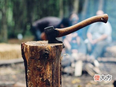 梦见自己砍柴