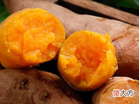 梦见挖了许多红薯