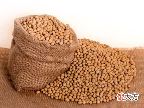梦见用镰刀割豆子