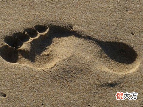 梦见沙子堆