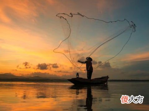 梦见用网捕鱼