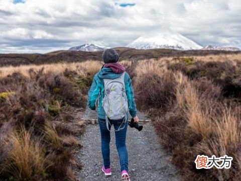 梦见和闺蜜旅游