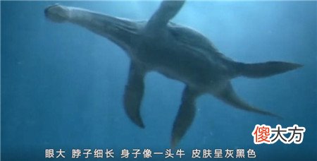 西藏湖现神秘生物，牧民亲眼目睹拖走牛羊，专家推测为史前生物