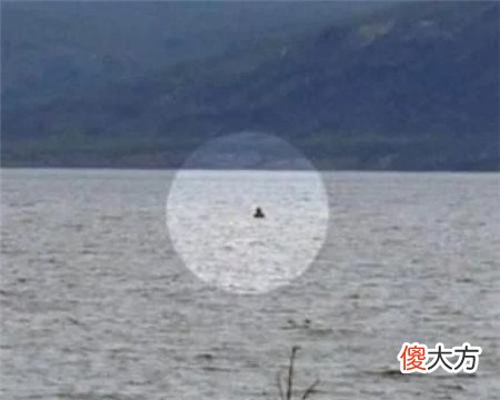 西藏湖现神秘生物，牧民亲眼目睹拖走牛羊，专家推测为史前生物