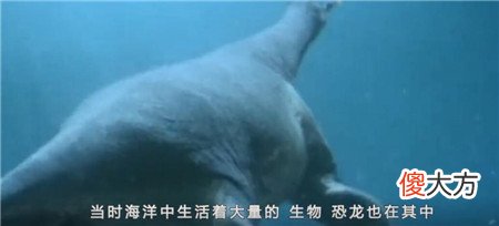 西藏湖现神秘生物，牧民亲眼目睹拖走牛羊，专家推测为史前生物