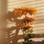 梦见手表丢了是什么意思