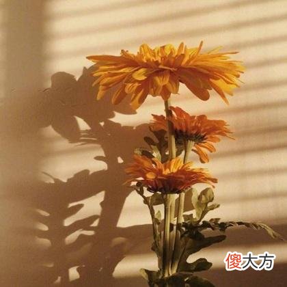 梦见手表丢了是什么意思