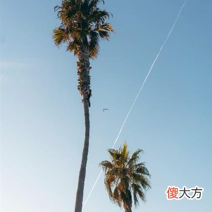 梦见在水上漂浮是什么意思