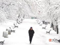 梦见地面有雪