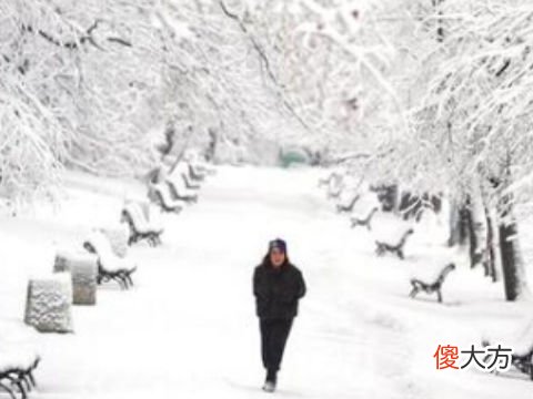 梦见地面有雪