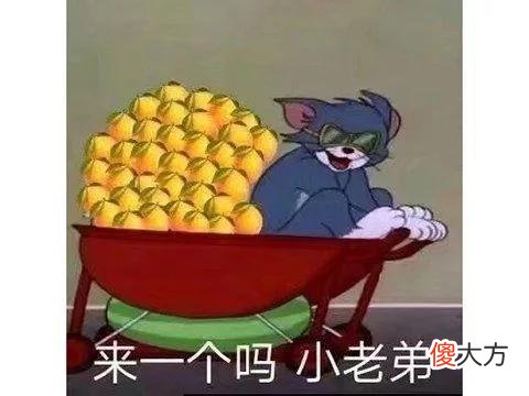 【游戏迷】八月已被游戏承包！玩150小时都不腻，提前被破解剧透人气不减！