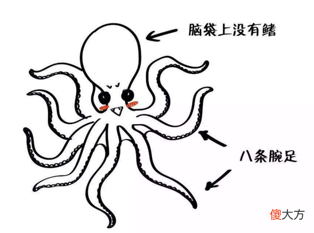 深海7000米处，有萌物出现，科学家直呼太珍贵了