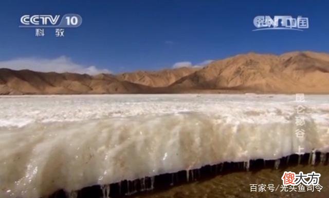 昆仑山“死亡谷”,白骨遍地当地人不敢进入,它们是怎么死的?