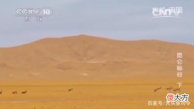 昆仑山“死亡谷”,白骨遍地当地人不敢进入,它们是怎么死的?