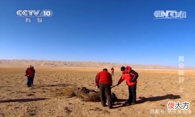 昆仑山“死亡谷”,白骨遍地当地人不敢进入,它们是怎么死的?