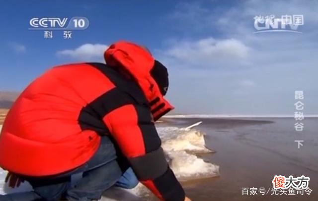 昆仑山“死亡谷”,白骨遍地当地人不敢进入,它们是怎么死的?