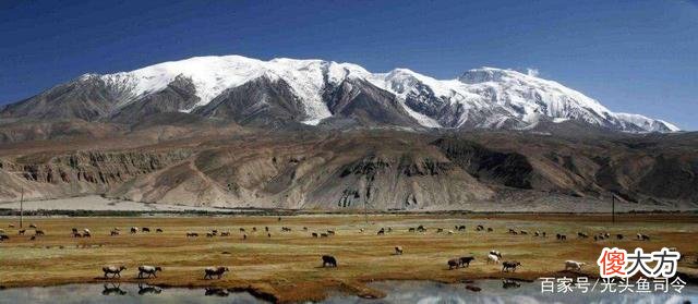 昆仑山“死亡谷”,白骨遍地当地人不敢进入,它们是怎么死的?