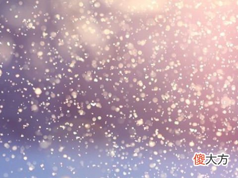 梦见树上有雪