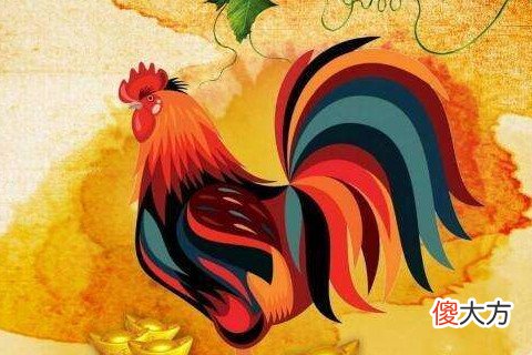 属鸡犯冲的四个属相有哪些
