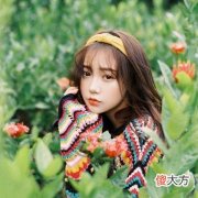 梦见枣子树