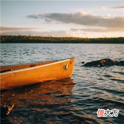 梦见乌龟变成人是什么意思