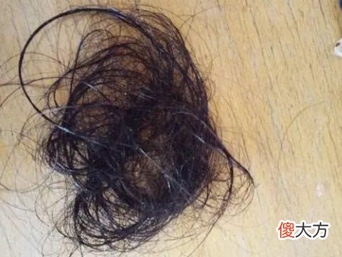 梦见头发被扯掉