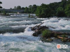 梦见水哗哗流