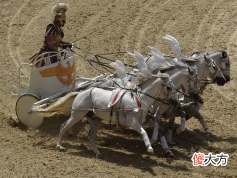 梦见开装甲车