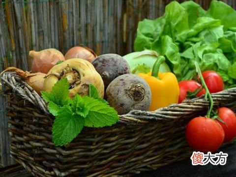 梦见好多菜