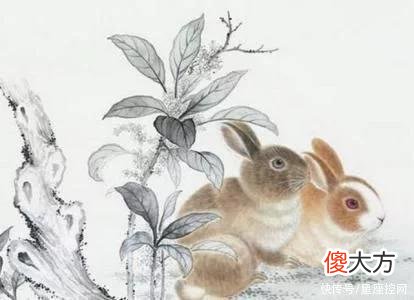 【十二星座】八月起，4生肖家道富裕，衣食无忧，工资增长，意外之财更多