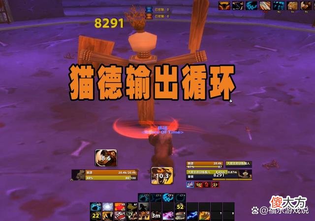 【游戏世界】魔兽世界：wlk版本操作难度高的职业，猫德的竞争力明显很多