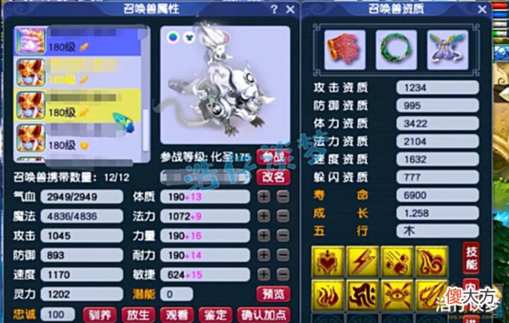 【游戏迷】梦幻西游:175三攻队狮驼不带野兽带慈航?给7技能夜罗刹打神马!