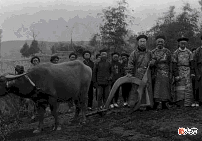 【爱历史】清朝老照片：图2官员一张罕见扶犁拍照，第4张揭露清朝为何会亡