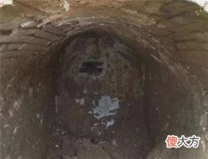 千年古墓中的尸体栩栩如生还能动，竟连专家都惊了