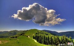 【星座控】8月，喜鹊报喜，月老眷顾，桃花运强势来袭，幸福紧相随的3个生肖