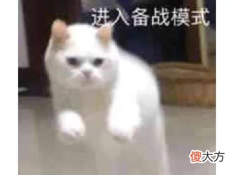 【游戏世界】腾讯心机策划偷改活动？奸商代抽大奖要价3500，暴怒玩家请辞策划
