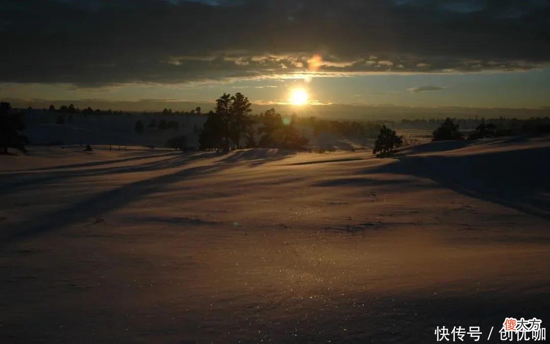 【十二星座】8月11日后，喜气萦绕，运势亨通，越做越强，收入越来越高的3生肖