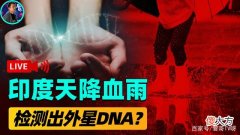 印度连下2个月血雨！雨粒子中夹杂神秘生物，检测DNA竟不属地球？