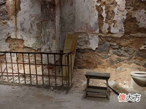 梦见掉到粪水池