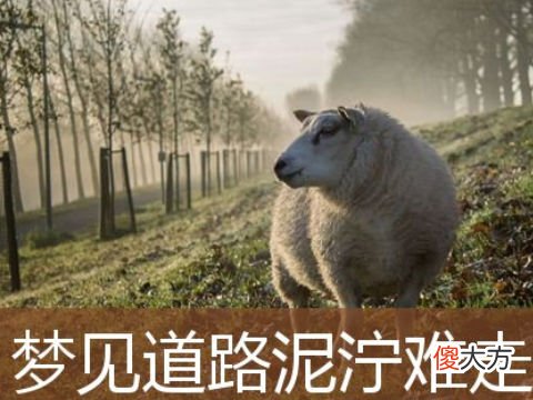 梦见道路很难走