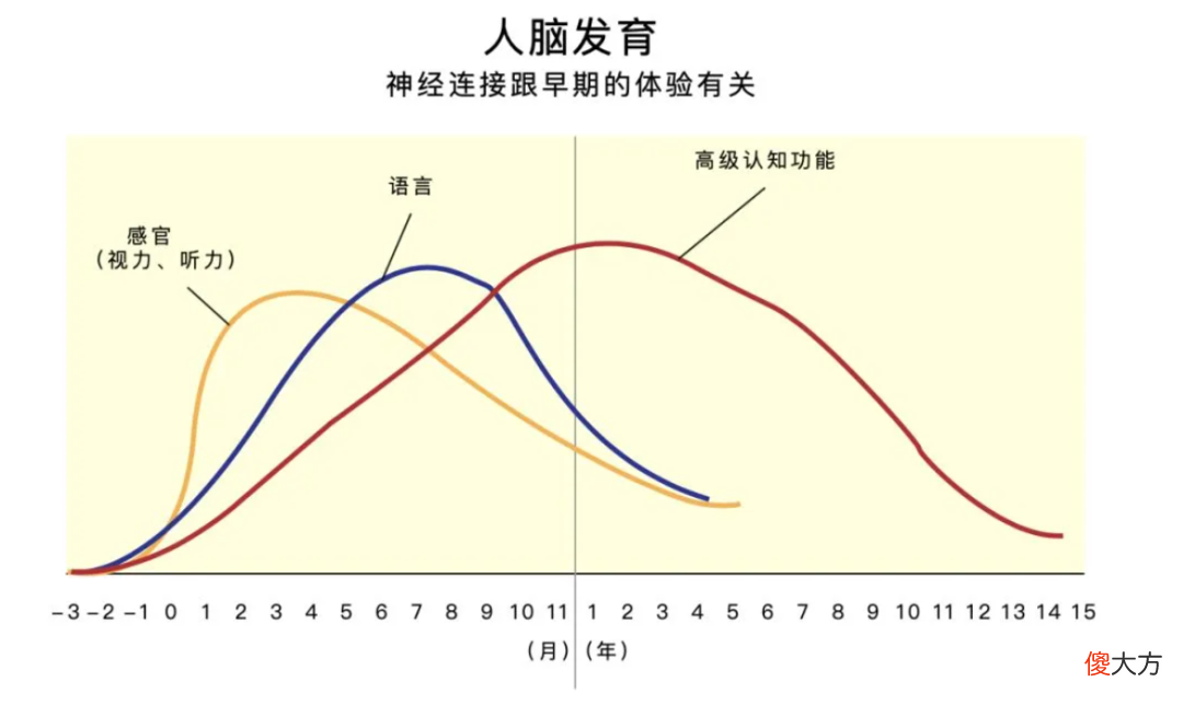 2岁宝宝会50多首儿歌，儿童语言专家：说话早，是中枢神经发育好