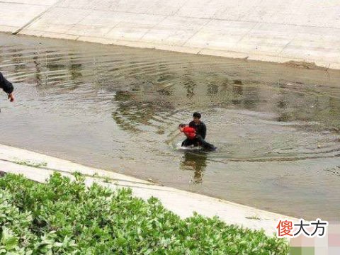 梦见流浪小孩