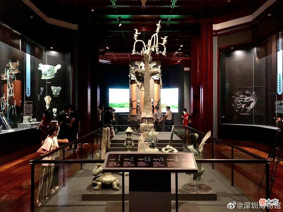 【历史故事】金沙遗址出土的200多件玉璋，色彩新奇，形式多样