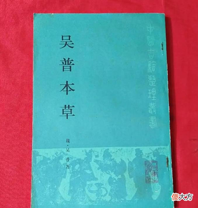 【历史故事】历史上真正的华佗：在关羽受伤前就死了，刮骨的是谁？答案很简单
